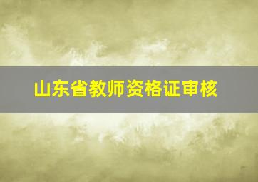 山东省教师资格证审核