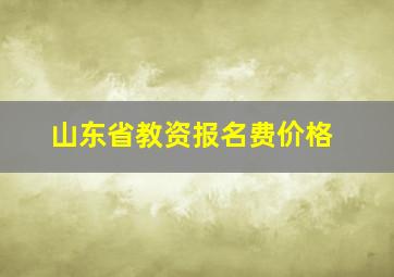 山东省教资报名费价格