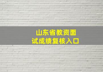 山东省教资面试成绩复核入口