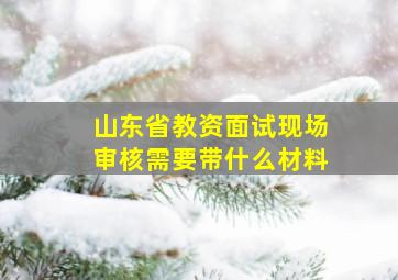 山东省教资面试现场审核需要带什么材料