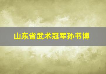 山东省武术冠军孙书博