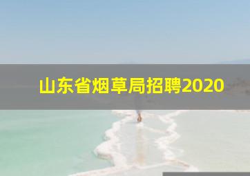 山东省烟草局招聘2020