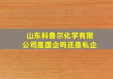 山东科鲁尔化学有限公司是国企吗还是私企