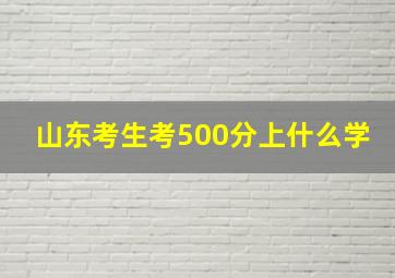 山东考生考500分上什么学