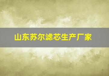 山东苏尔滤芯生产厂家