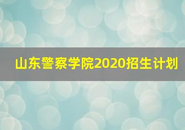 山东警察学院2020招生计划