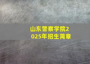 山东警察学院2025年招生简章