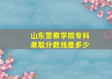 山东警察学院专科录取分数线是多少