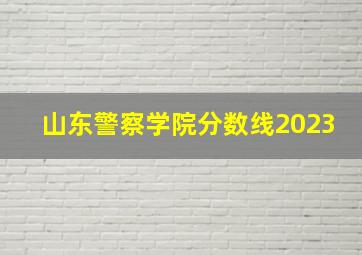 山东警察学院分数线2023