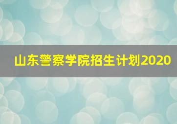 山东警察学院招生计划2020