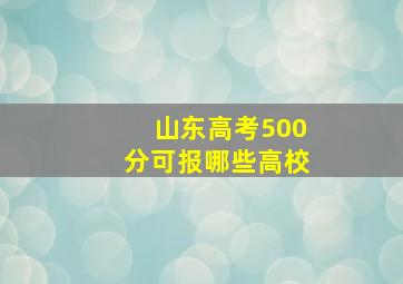 山东高考500分可报哪些高校