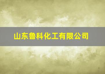 山东鲁科化工有限公司