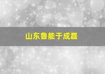 山东鲁能于成磊