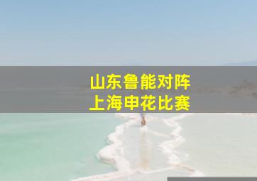 山东鲁能对阵上海申花比赛