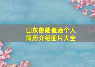 山东鲁能崔巍个人简历介绍图片大全