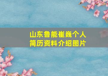 山东鲁能崔巍个人简历资料介绍图片