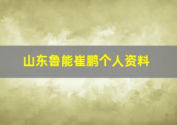 山东鲁能崔鹏个人资料