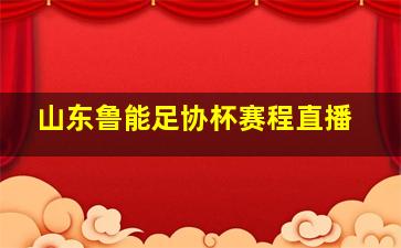 山东鲁能足协杯赛程直播