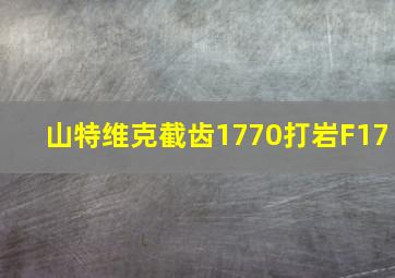 山特维克截齿1770打岩F17