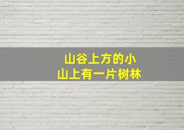 山谷上方的小山上有一片树林