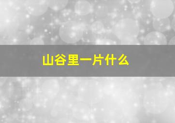 山谷里一片什么