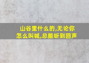 山谷里什么的,无论你怎么叫喊,总能听到回声