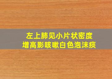 左上肺见小片状密度增高影咳嗽白色泡沫痰