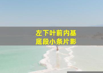 左下叶前内基底段小条片影