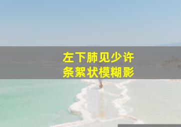 左下肺见少许条絮状模糊影