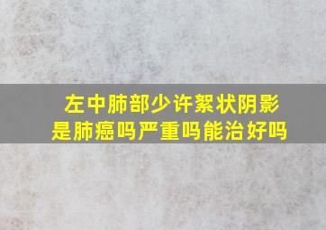 左中肺部少许絮状阴影是肺癌吗严重吗能治好吗