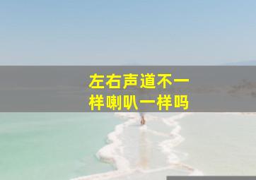 左右声道不一样喇叭一样吗