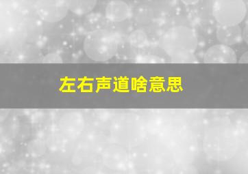 左右声道啥意思