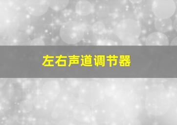 左右声道调节器