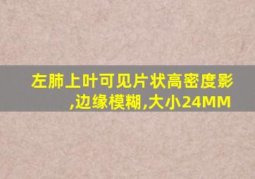 左肺上叶可见片状高密度影,边缘模糊,大小24MM