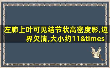 左肺上叶可见结节状高密度影,边界欠清,大小约11×9mm