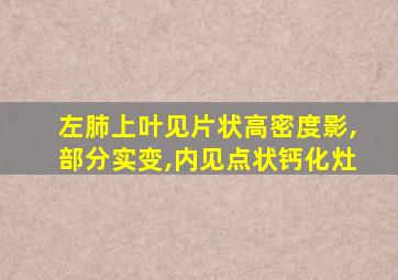 左肺上叶见片状高密度影,部分实变,内见点状钙化灶