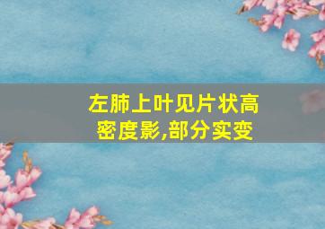 左肺上叶见片状高密度影,部分实变