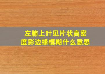 左肺上叶见片状高密度影边缘模糊什么意思