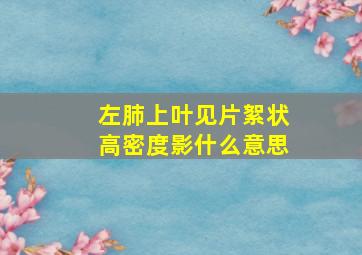 左肺上叶见片絮状高密度影什么意思