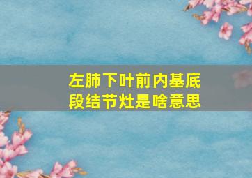 左肺下叶前内基底段结节灶是啥意思