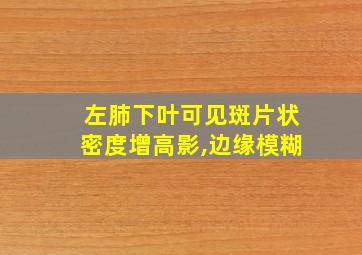 左肺下叶可见斑片状密度增高影,边缘模糊