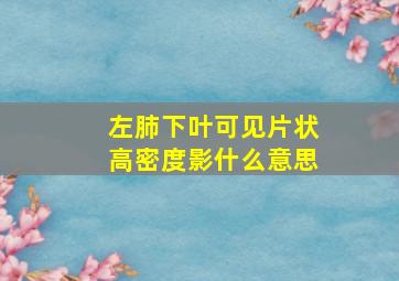 左肺下叶可见片状高密度影什么意思