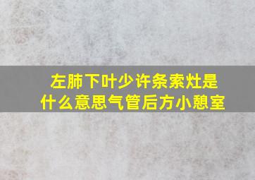 左肺下叶少许条索灶是什么意思气管后方小憩室