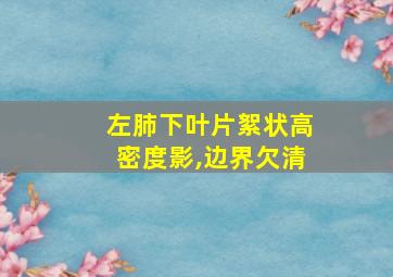 左肺下叶片絮状高密度影,边界欠清