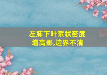 左肺下叶絮状密度增高影,边界不清