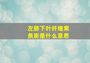 左肺下叶纤维索条影是什么意思