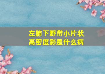 左肺下野带小片状高密度影是什么病