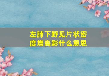 左肺下野见片状密度增高影什么意思