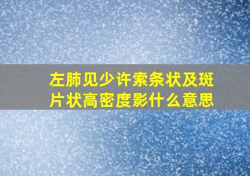 左肺见少许索条状及斑片状高密度影什么意思