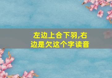 左边上合下羽,右边是欠这个字读音